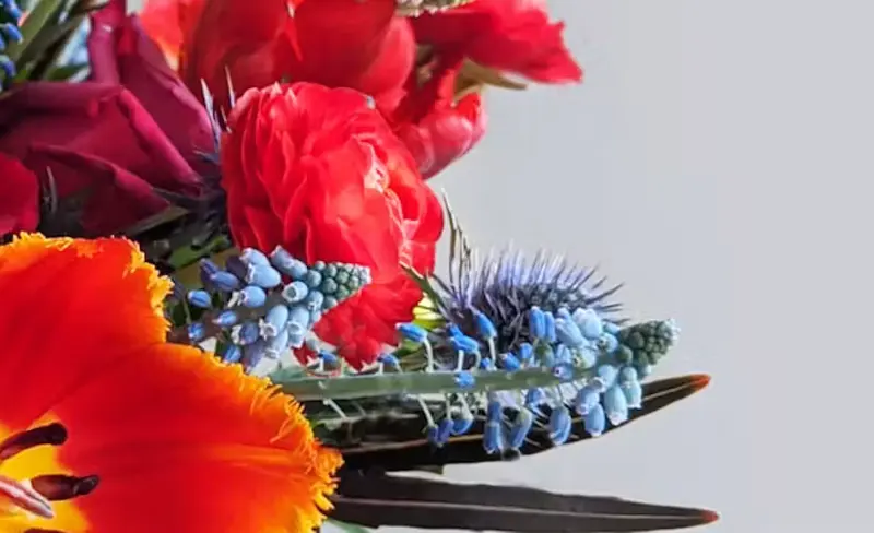 Flowers & Fancies