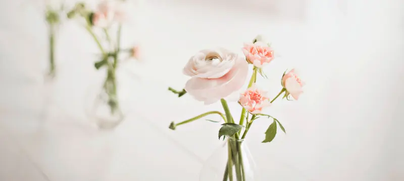 Apple Blossoms Floral Designs
