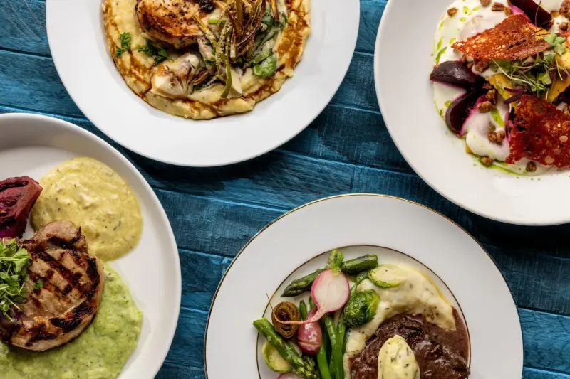 Culinary Canvas
