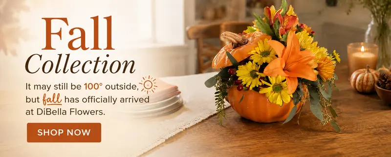 DiBella Flowers & Gifts