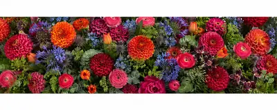 Radebaugh Florist and Greenhouses, wedding florist in Baltimore, MD
