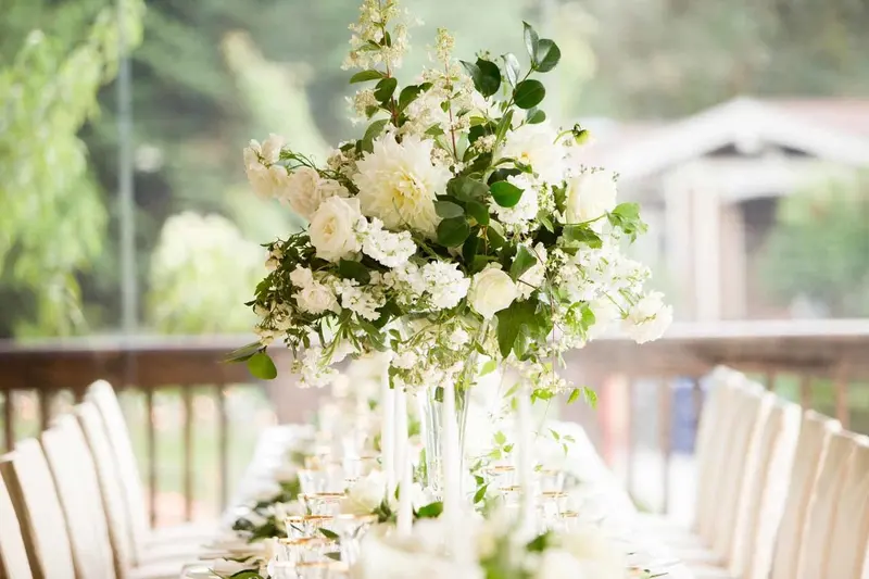 Flora Nova Design